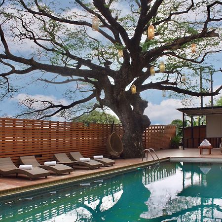 Bamboori Boutique Resort 清邁 外观 照片