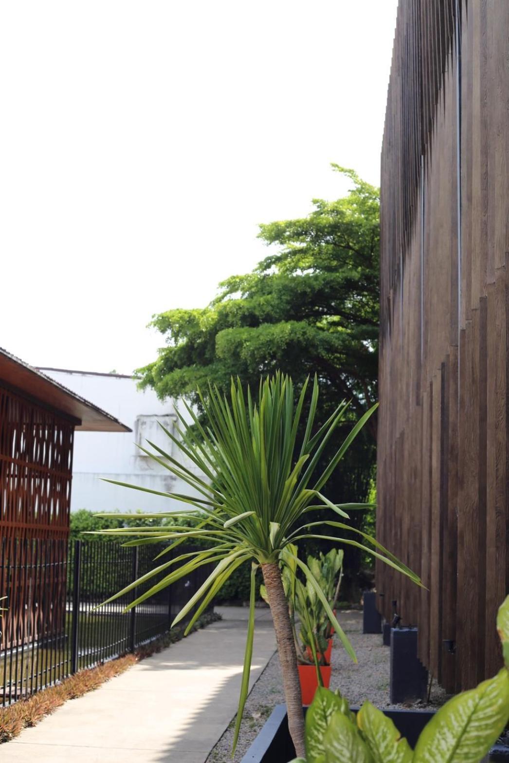 Bamboori Boutique Resort 清邁 外观 照片